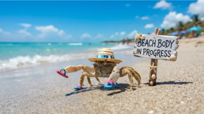 Classic Summer Jokes